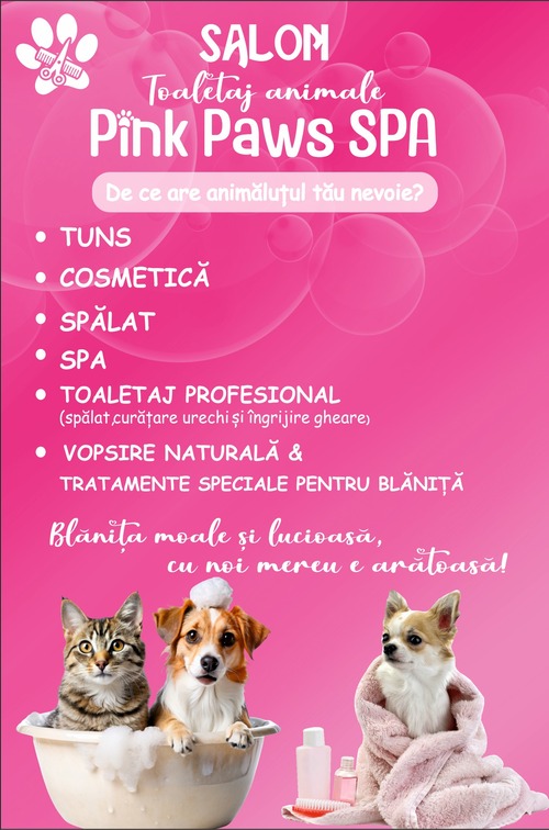 Salon canin PinkPawSpa Mediaș - echipa profesională